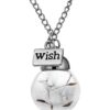 Glass Bottle Necklace Natural Dandelion Necklace