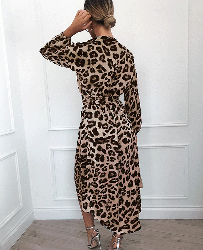 Leopard Loose Deep V-neck A-line Sexy Party Dress-3