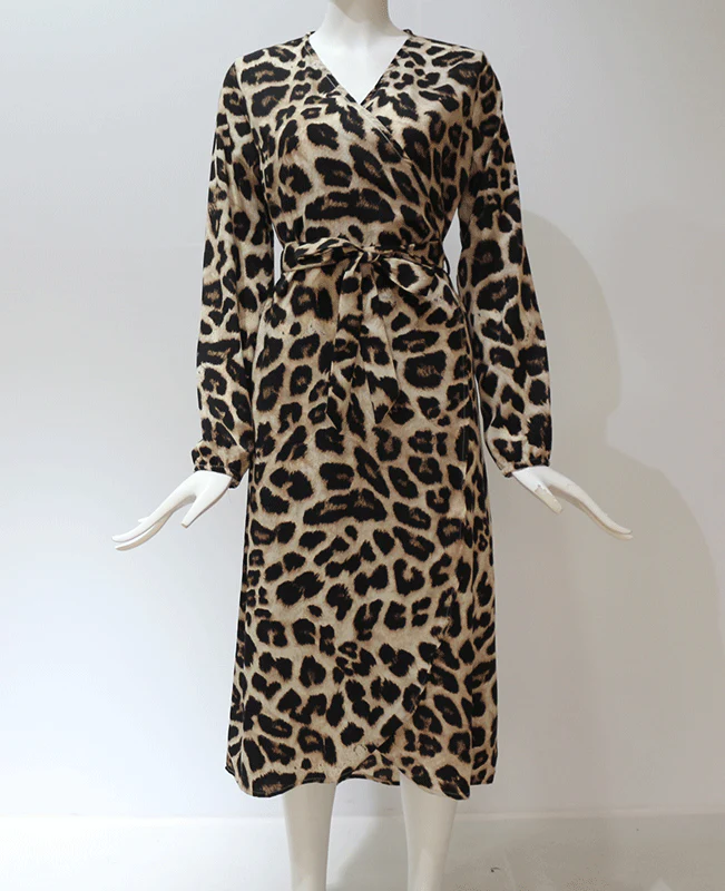 Leopard Loose Deep V-neck A-line Sexy Party Dress