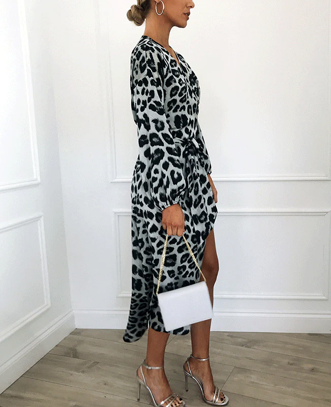 Leopard Loose Deep V-neck A-line Sexy Party Dress-8