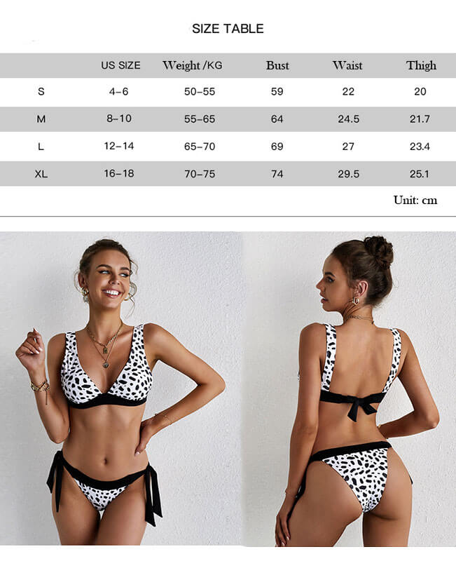 Two Pieces Leopard Triangle Bikini Set