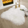 Fluffy Shaggy Area Rug 1