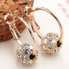 Shiny Zircon Pendant Bead Earrings