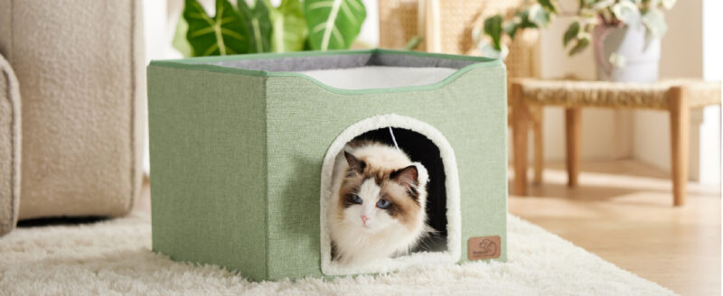 2in1 cat house with ball cat bed 1