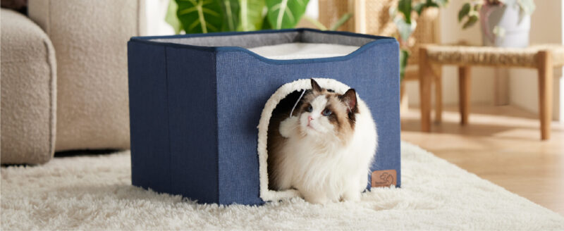 2in1 cat house with ball cat bed 2