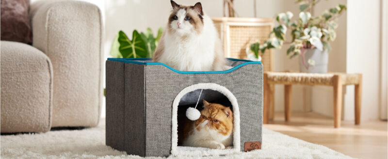 2in1 cat house with ball cat bed 31