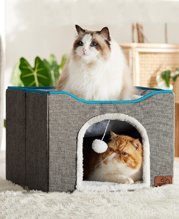 2in1 cat house with ball cat bed
