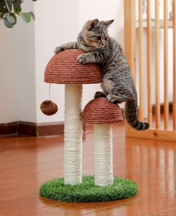Cute Cat Mushroom Tree 12
