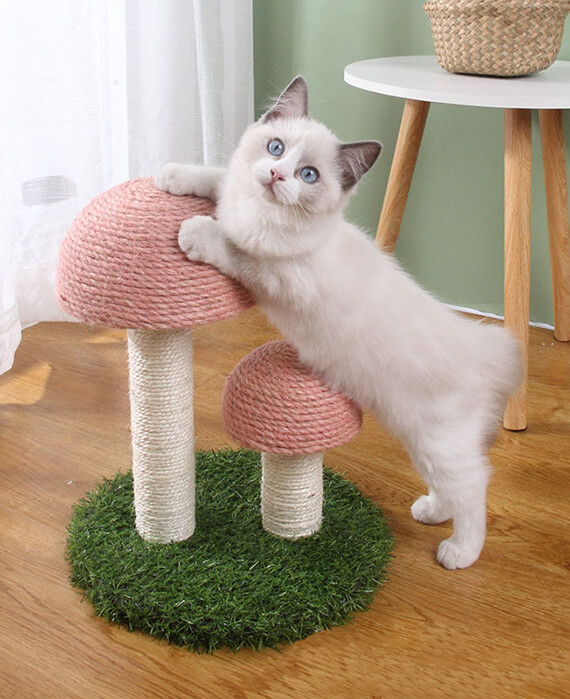 Cute Cat Mushroom Tree Scratching Posts For kitten 3