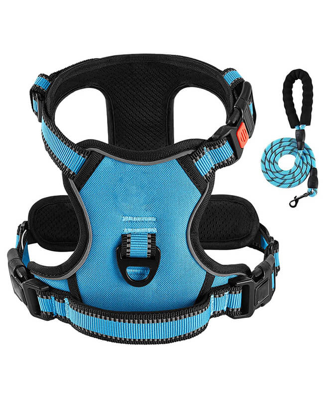 Adjustable No Pull Dog Harness and Leash Set 1
