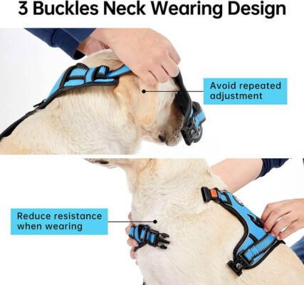 Adjustable No Pull Dog Harness and Leash Set 11