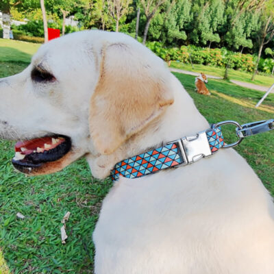 Adjustable Nylon Dog Collar 8