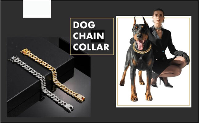 Diamond Dog Collar Metal Pet Cuban Collar Dog Chain 12