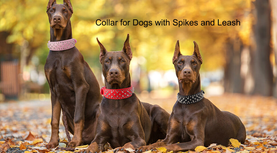 Durable Collar for Dogs with Spikes and Leash Dog Spiky Collar 3