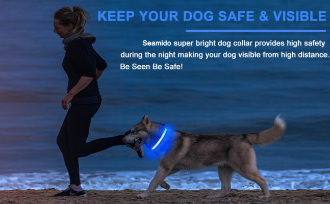 LED dog collar USB charger safty for puppies large dogs 1