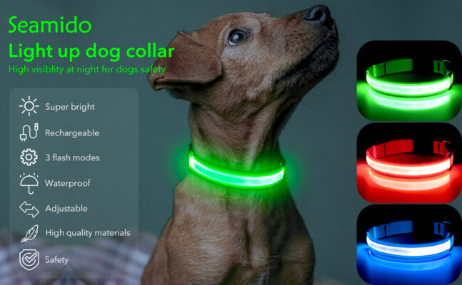 LED dog collar USB charger safty for puppies large dogs 2