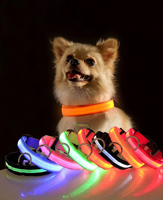 LED dog collar USB charger safty for puppies large dogs 7