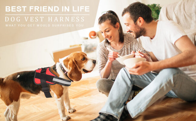 No Pull K9 Easy Walk Dog Harness Reflective Pet Harness 1