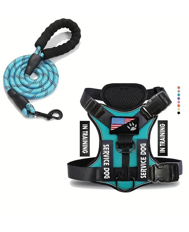 Service Dog Harness and Leash Set Dog Vest 3