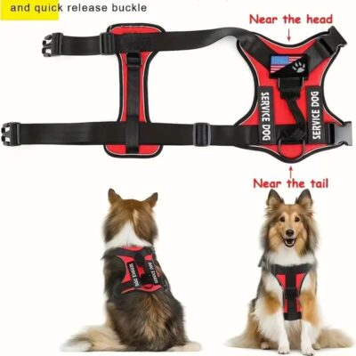 Service Dog Harness and Leash Set Dog Vest 7