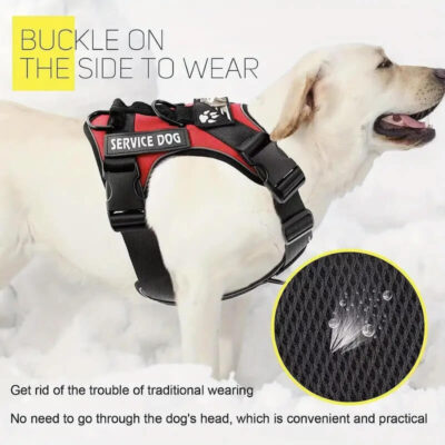 Service Dog Harness and Leash Set Dog Vest 9