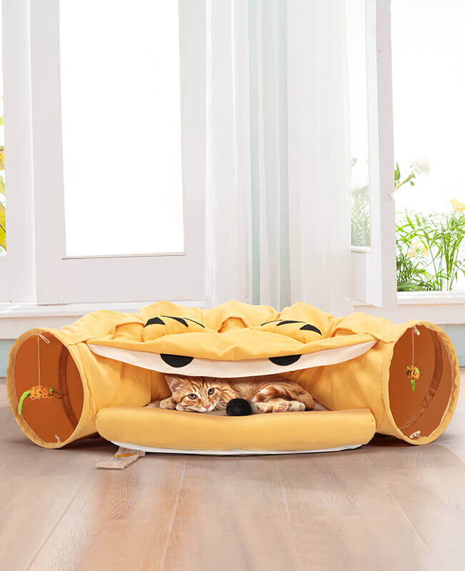 Foldable Cat Tunnel Bed Indoor Cat Tunnel with Hanging Toys 1