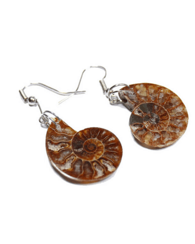 Natural Conch Fossil Earrings Vintage Crystal Earrings Wholesale