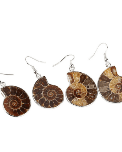 Natural Conch Fossil Earrings Vintage Crystal Earrings Wholesale