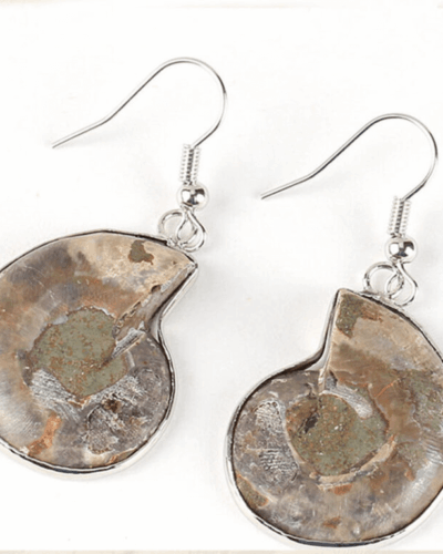 Natural Conch Fossil Earrings Vintage Crystal Earrings Wholesale