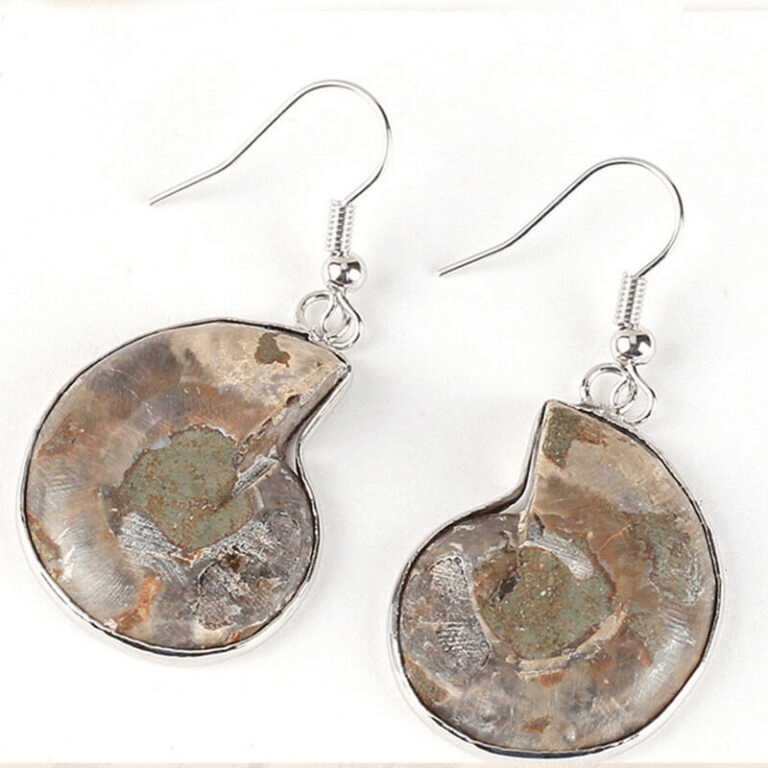 Natural Conch Fossil Earrings Vintage Crystal Earrings Wholesale