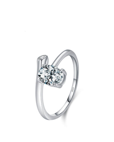 Niche Style 925 Sterling Silver Cubic Zirconia Ring-e