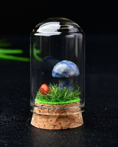 Delicate Crystal Rock Mushrooms Wholesale Gem Specimen