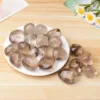 Clear Brown Smoky Quartz Tumbled Rocks Bulk