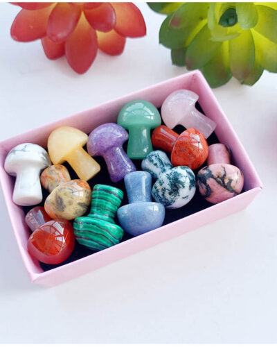 Colorful Crystal Mushrooms Agates Gift Set