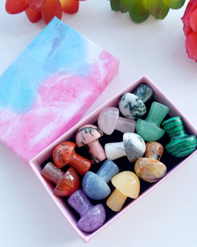 Colorful Crystal Mushrooms Agates Gift Set