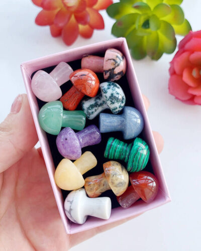 Colorful Crystal Mushrooms Agates Gift Set