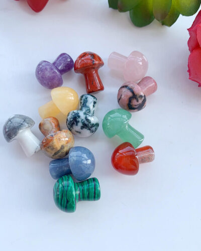 Colorful Crystal Mushrooms Agates Gift Set
