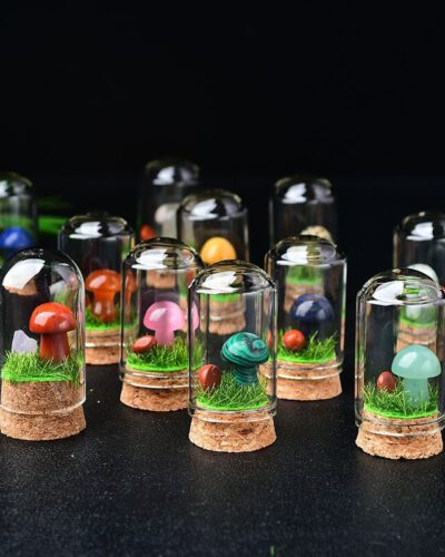 Delicate Crystal Rock Mushrooms Wholesale Gem Specimen