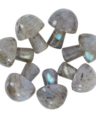 Gray Natural Labradorite Gemstone Mushrooms