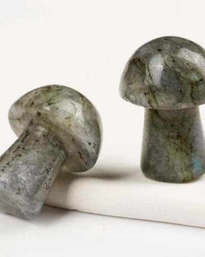 Gray Natural Labradorite Gemstone Mushrooms