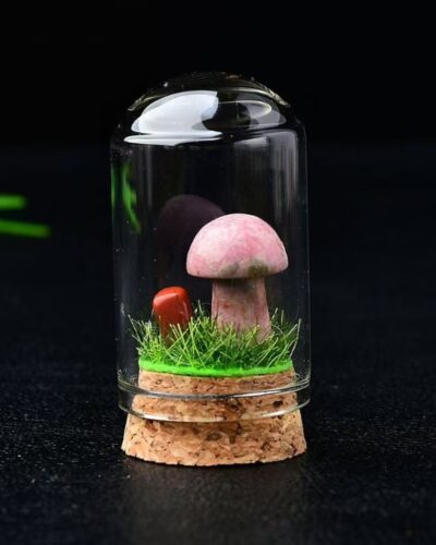 Delicate Crystal Rock Mushrooms Wholesale Gem Specimen