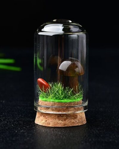 Delicate Crystal Rock Mushrooms Wholesale Gem Specimen