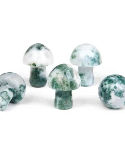 Mini Polished Mushroom Stones Agates Wholesale