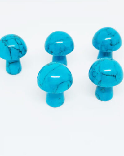 Wholesale Blue Turquoise Mushroom Shaped Crystals