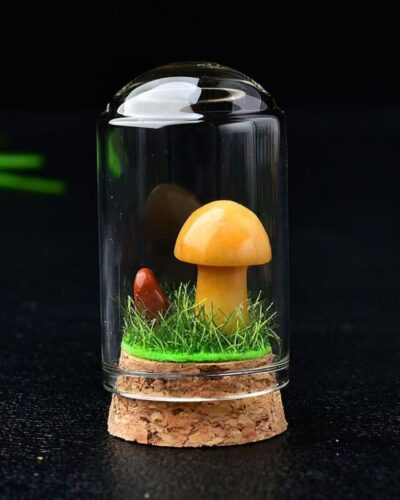 Delicate Crystal Rock Mushrooms Wholesale Gem Specimen