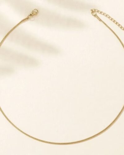 Dainty Thin Stainless Steel Necklace Choker for Stacking