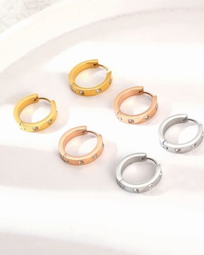 Delicate Zircon Women's Stainless Steel Hoop Earrings